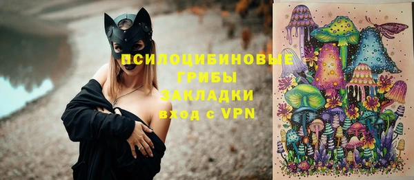 ГАЛЛЮЦИНОГЕННЫЕ ГРИБЫ Алексеевка